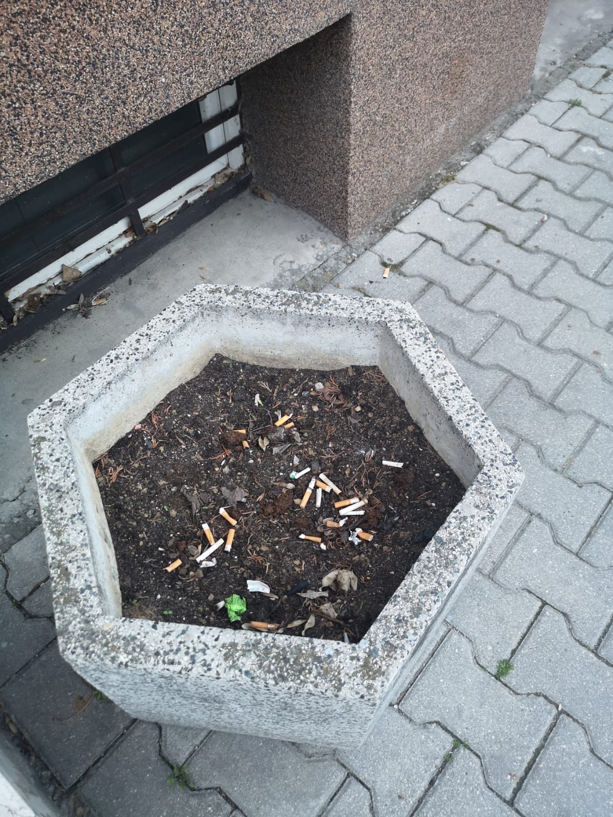 project_image