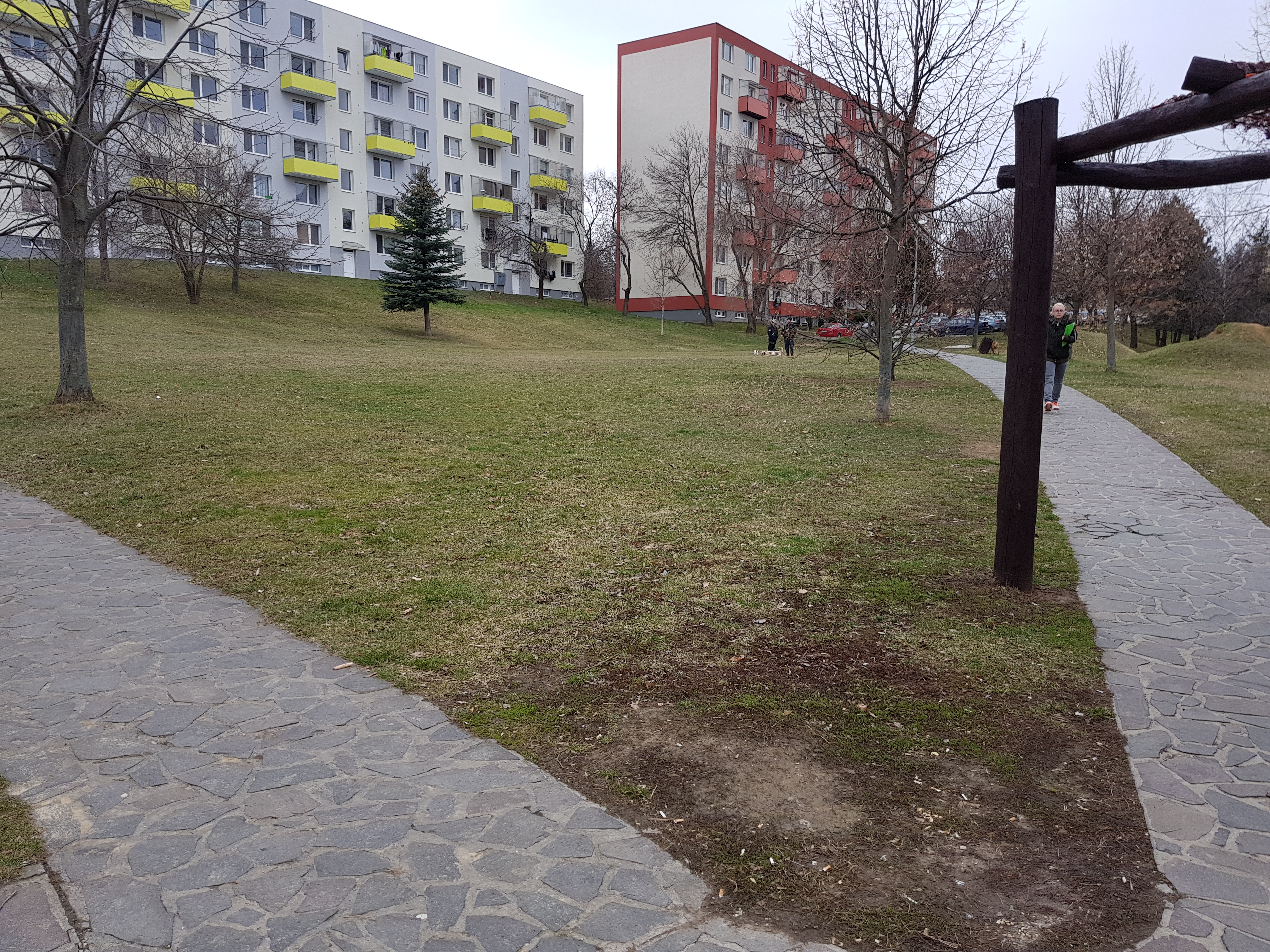 project_image